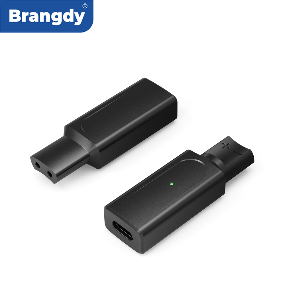 Brangdy 12V Type-C シェーバーアダプター充 - Beard Trimmer のレビューと価格